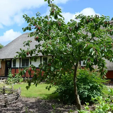Thurup Hus Assens